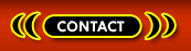 Transsexuals Phone Sex Contact London